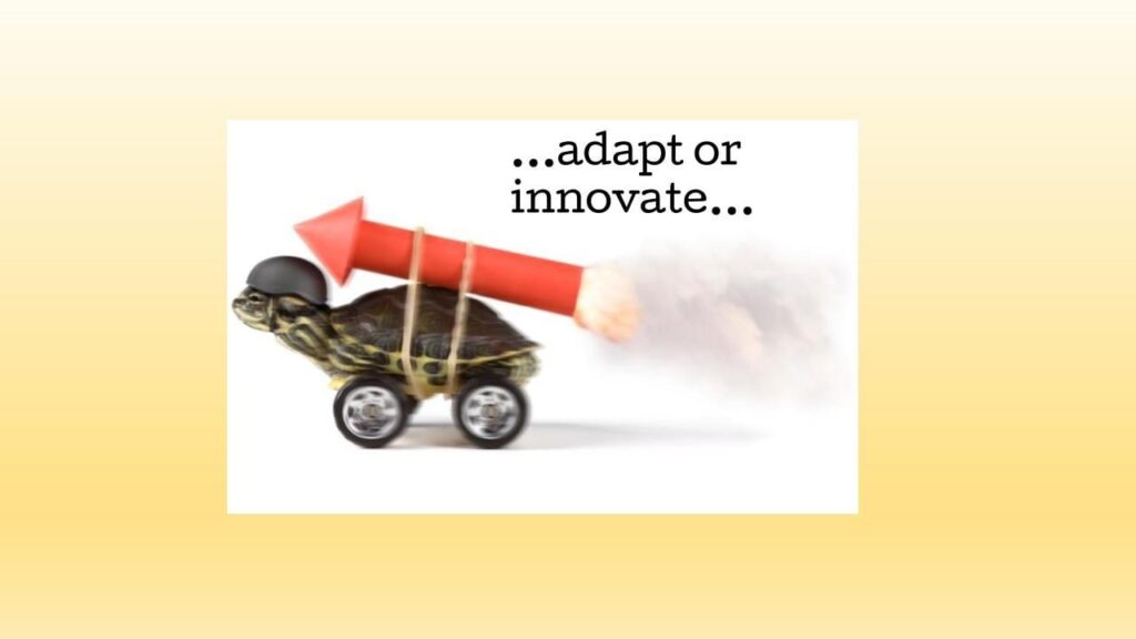 Adapt or innovate